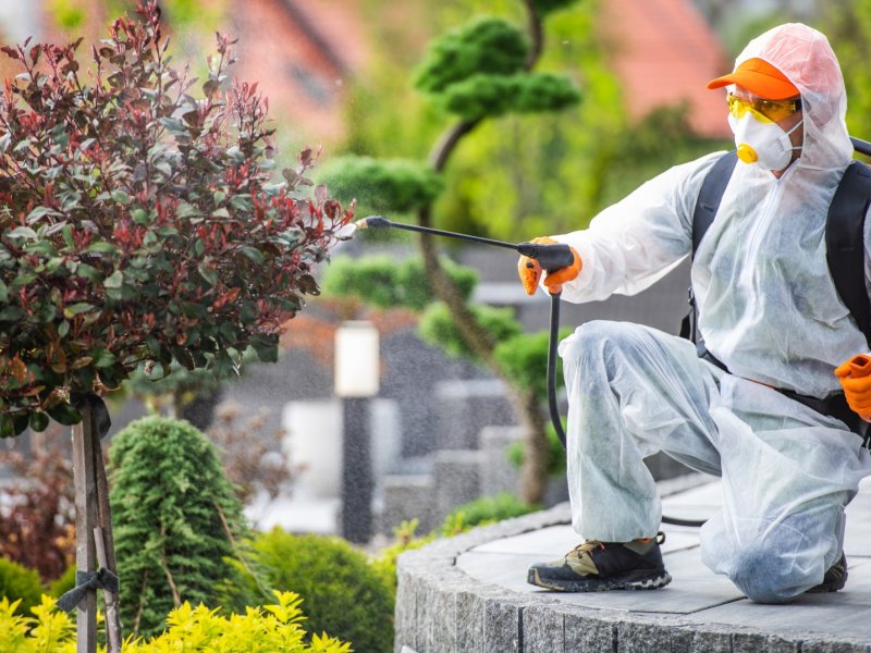 Kavaklıdere Haşere İlaçlama